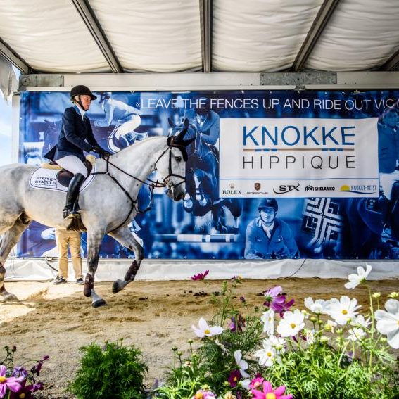 knokkehippique