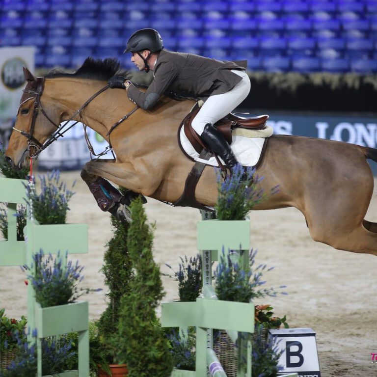 48419119_1908232625940780_2976387107490103296_o