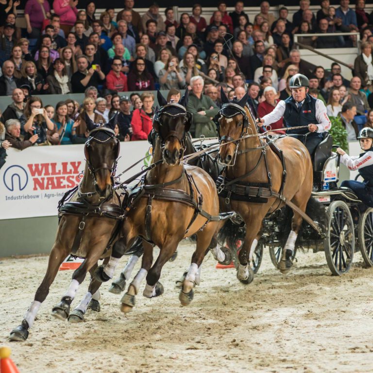 26910912_1805838459460880_1014083158644722471_o