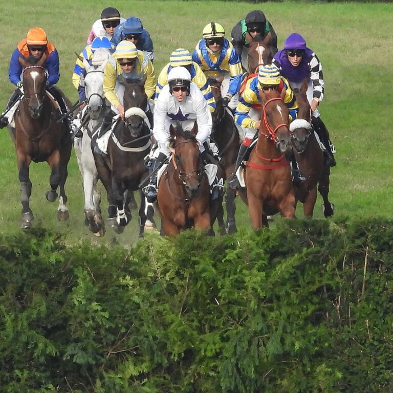 foto-intro-website-WK2021