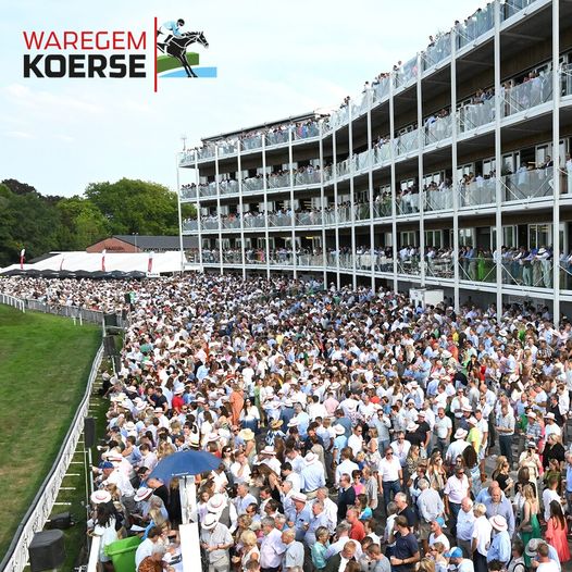 303152445_5589878947698902_1820847080817283360_n