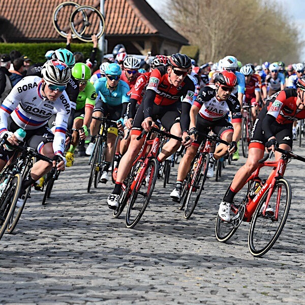 Dwars-door-Vlaanderen-2020