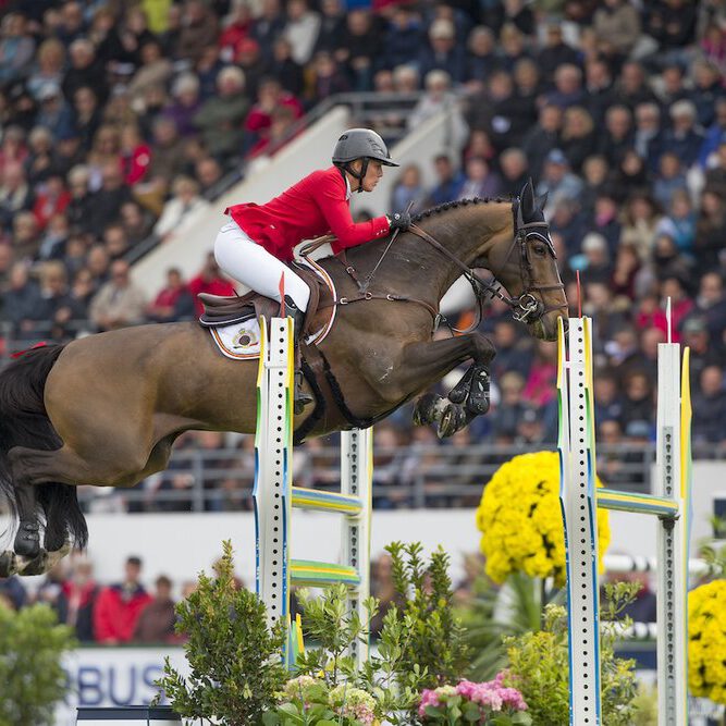 Patteet Gudrun, (BEL), Sea Coast Pebles Z